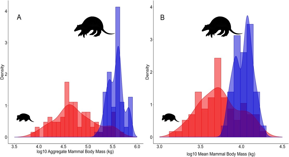 Loss of large mammals reshapes Brazil’s dry tropical forests