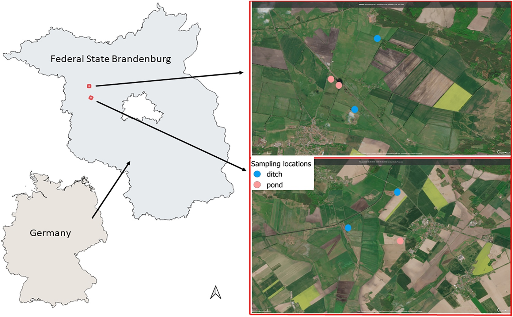 How farming impacts small creatures living in ponds and ditches