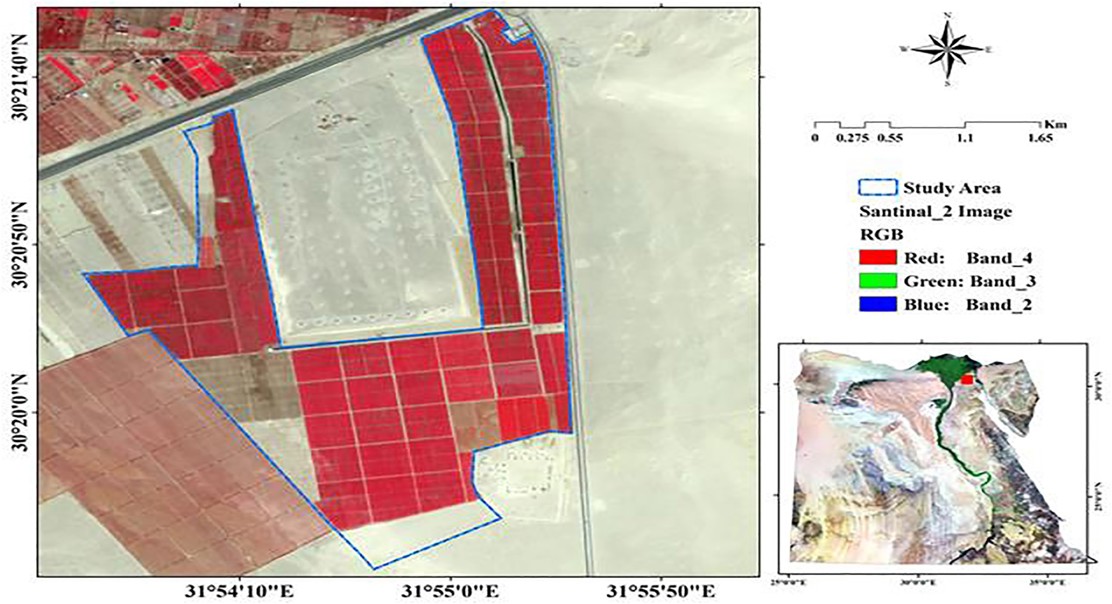 Mapping Soil Health in Drylands with Advanced Data Analysis