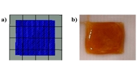 Bio-ink Skin Patches with Olive Extracts for Better Wound Healing