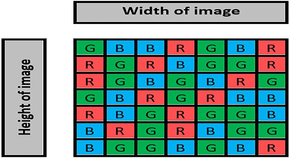 Hiding messages in RNA sequences using secure codes and random numbers
