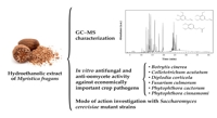 Nutmeg Compounds Fight Plant Disease by Blocking Fungi Growth