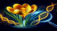 Exploring the Biochemical Secrets of Saffron in Yellow Crocuses