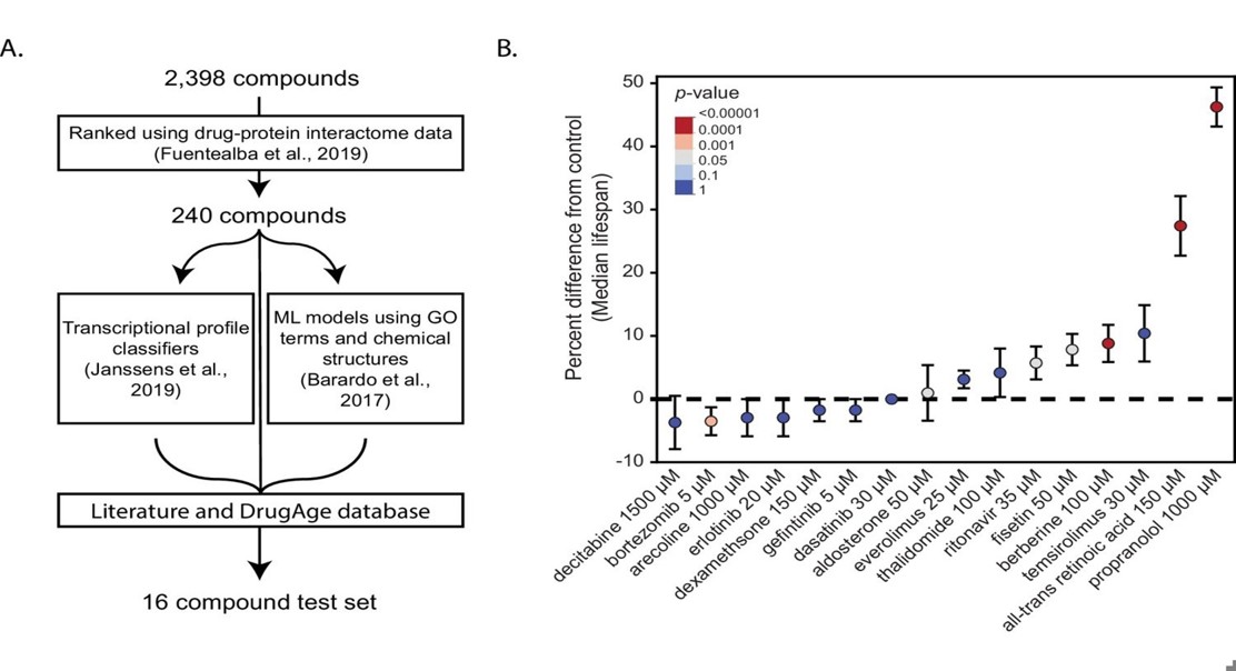 Computer models and genetics link vitamin A to longer lifespans in C. elegans