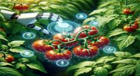 A Smart Way to Spot Diseases in Tomatoes Using AI