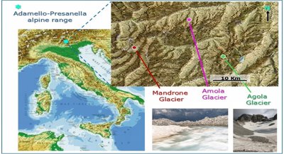 Diverse microbes in glaciers exist independently of insect life