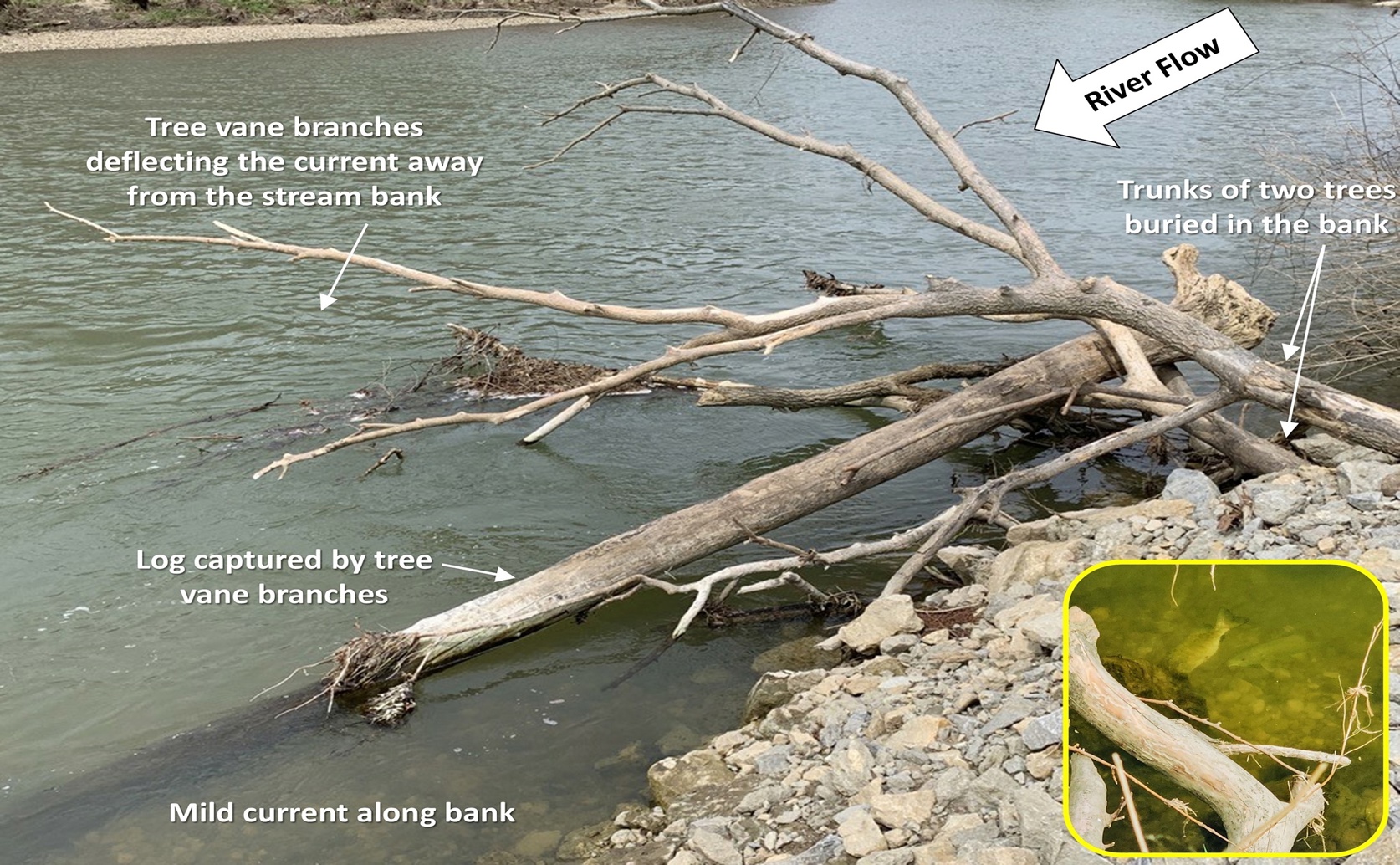 How to best build successful floodplain wetlands: lessons from eight projects
