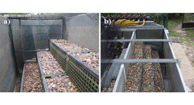 How river flow changes impact stress levels in rainbow trout
