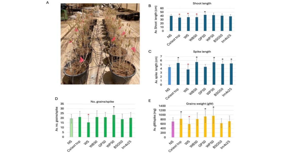 Sustainable seed coatings from food waste boost plant growth and reproduction