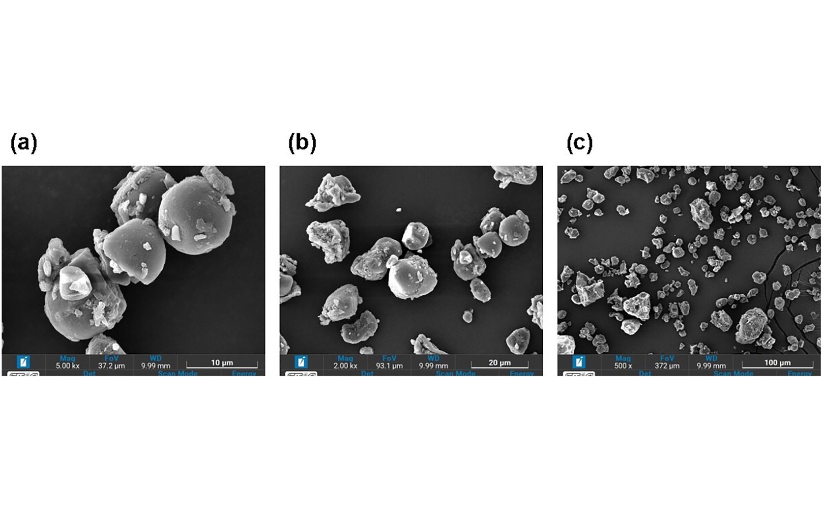 Longan seed waste shows promise as a cheap, natural water purifier