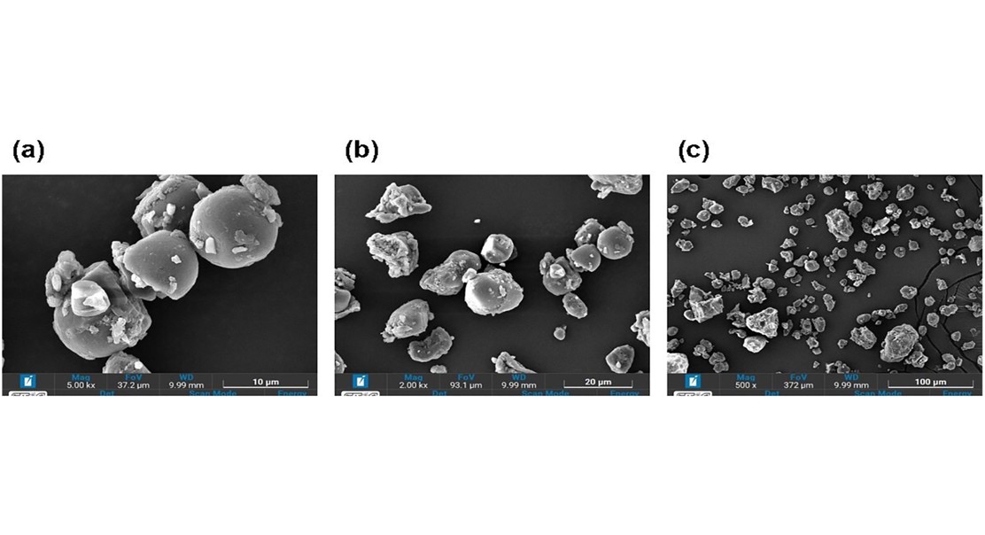 Longan seed waste shows promise as a cheap, natural water purifier