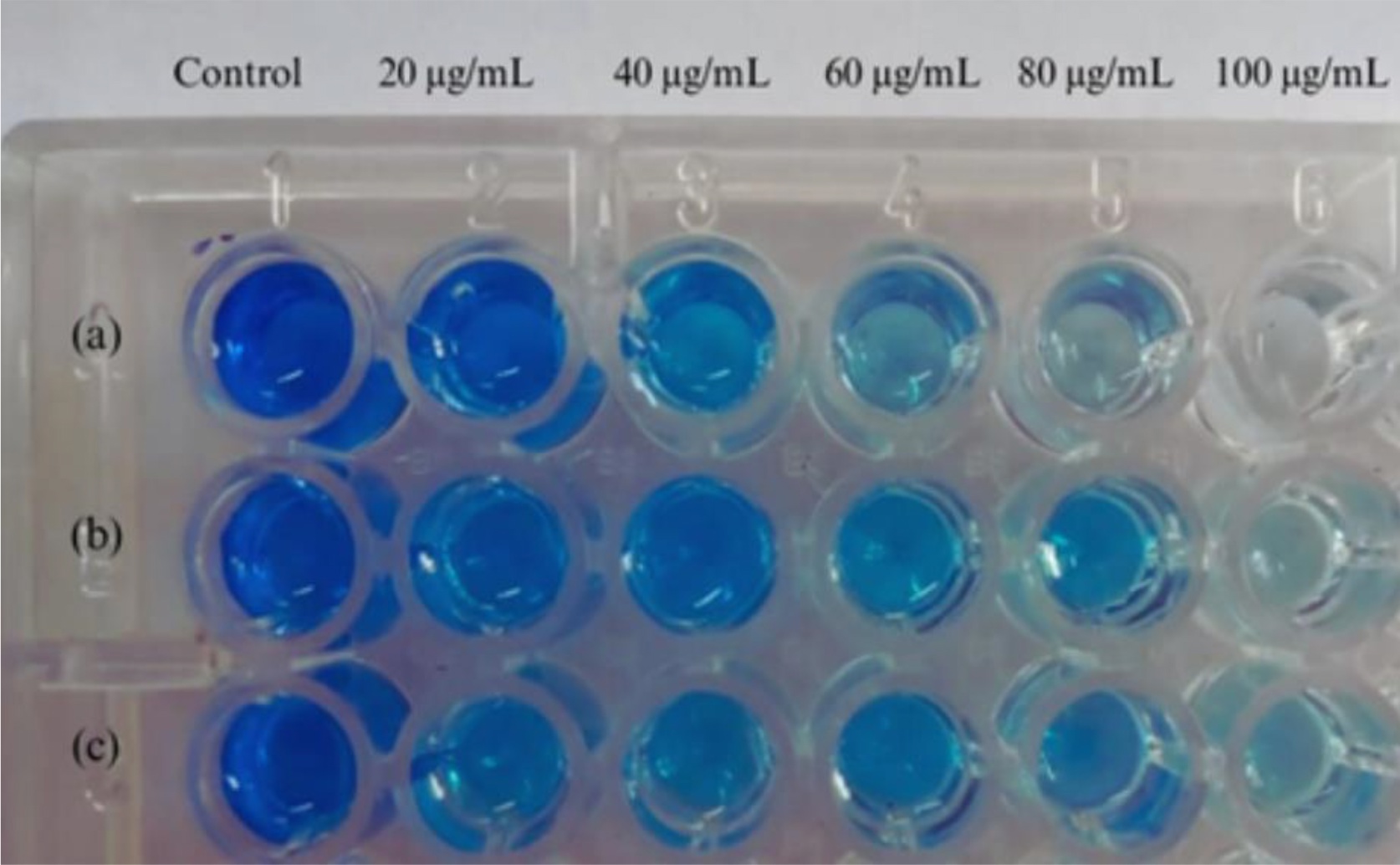 Useful compounds from ocean bacteria show promise as anti-fouling agents