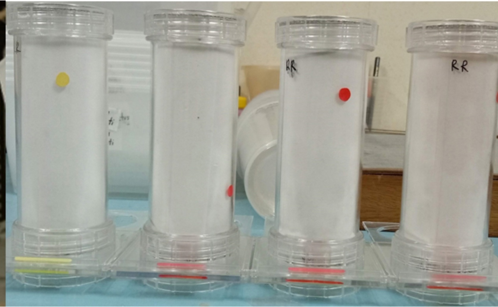 Betel nut extract shows promise in controlling mosquito development
