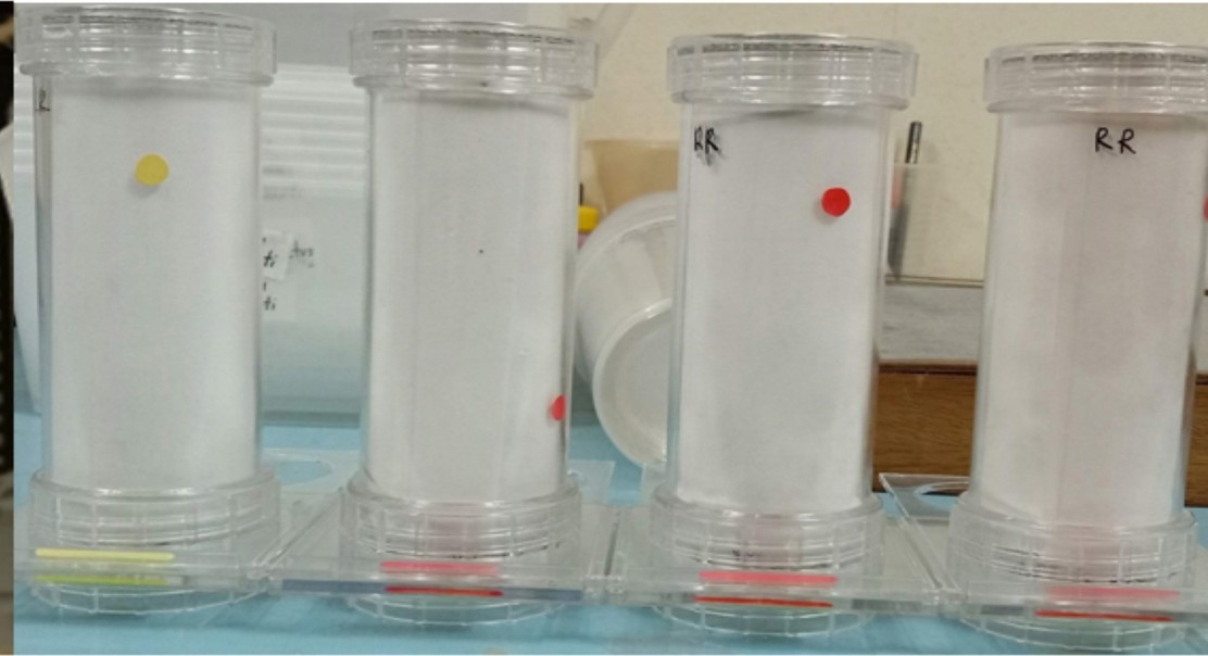 Betel nut extract shows promise in controlling mosquito development