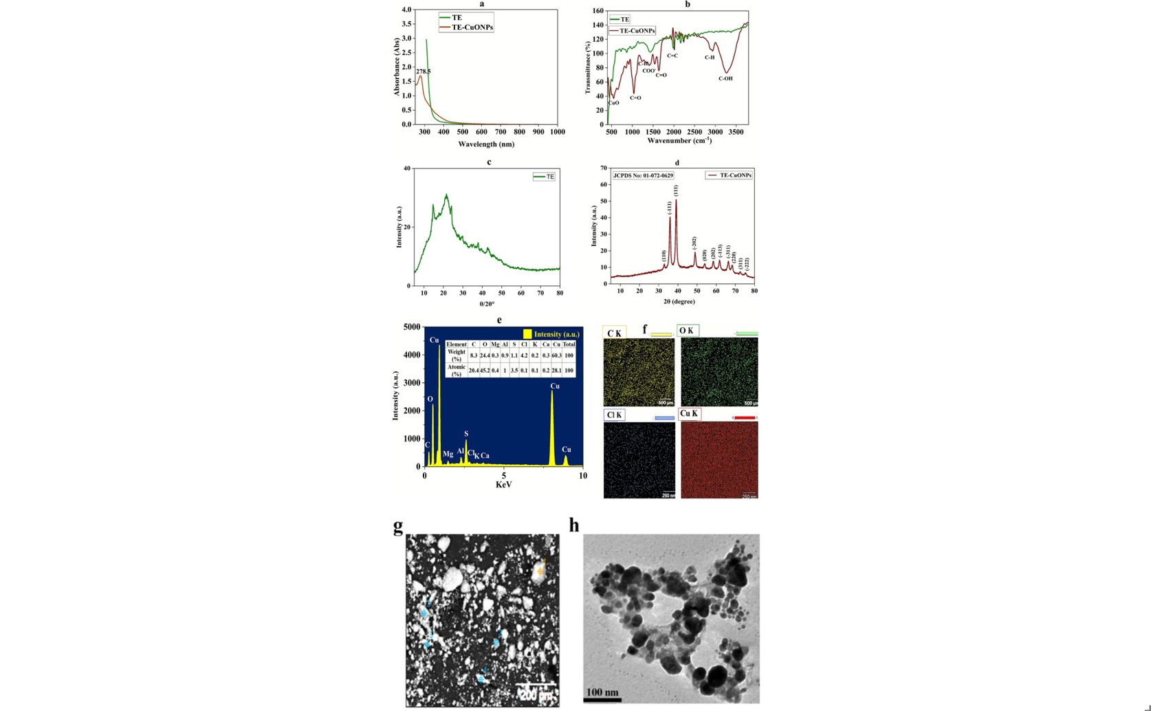 Copper nanoparticles from thyme boost antibiotic power and fight cancer