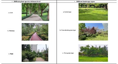 Do more diverse, attractive parks help people recover from stress?