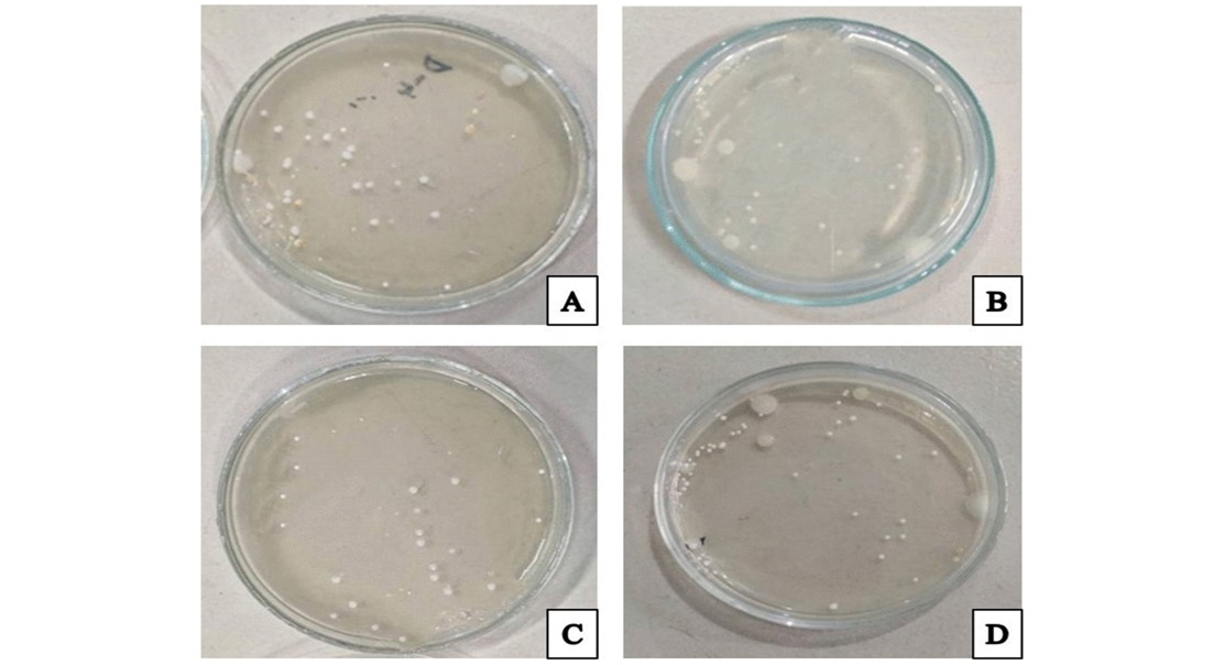 Herbal remedies speed wound healing in lab studies