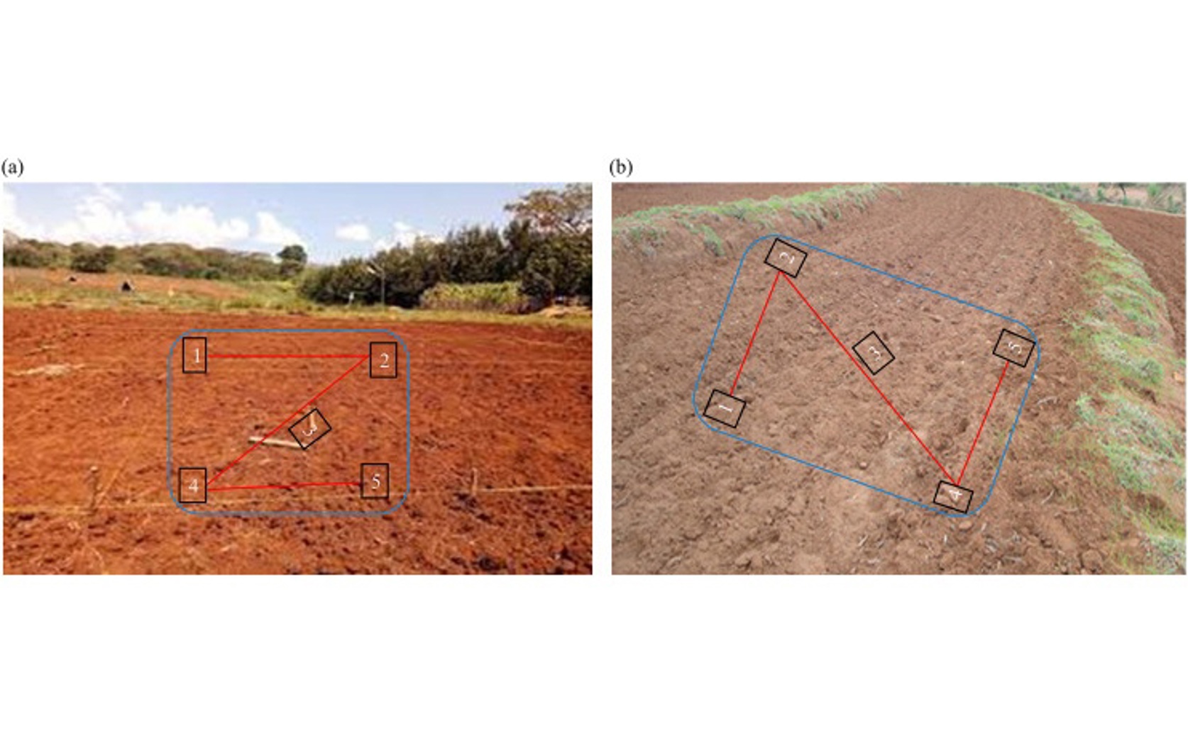 Research finds Fanya Juu terraces improve soil health