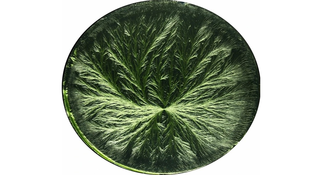 Copper chloride crystals help assess the quality of plant-based medicines