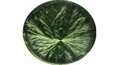 Copper chloride crystals help assess the quality of plant-based medicines