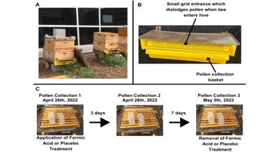 How formic acid affects honeybee foraging, revealed by advanced DNA analysis