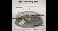 Monitoring Plant Root Health with Advanced Sensors and AI