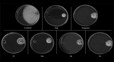 Creating Eugenol-Based Compounds to Protect Papayas from Harmful Fungi
