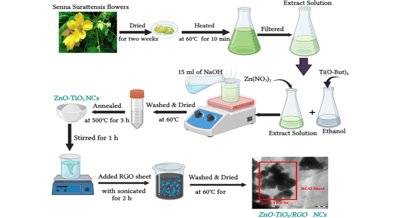 New Plant-Based Method for Creating Cancer-Fighting Nanocomposites