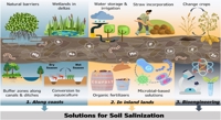 Combating Farmland Salt Buildup with Nature and Bio-Tech Solutions