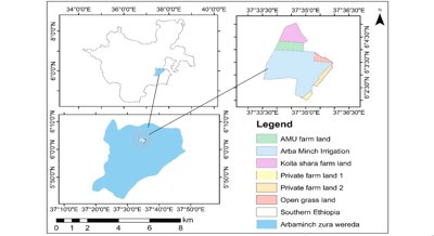 Optimal Water Use for Crops and Irrigation Planning in a Changing Climate
