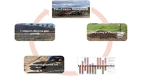 Turning Forest Leftovers into Compost: How It's Done and Its Benefits