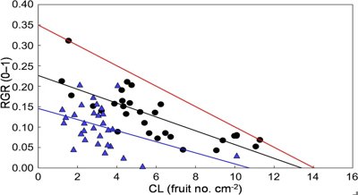 Apple Tree Crop Loads Affect Trunk Growth, Future Harvests, and Fruit Quality