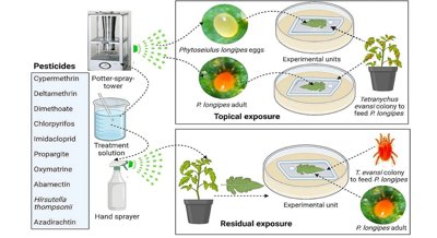 Compatibility of Synthetic and Natural Pesticides with a Pest Control Agent