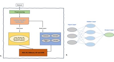 Using Machine Learning to Understand Cadmium Stress Effects on Goji Berry Growth