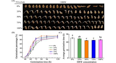 Plant Hormones Are Key for Hydrogen-Driven Seed Germination in Wax Gourd