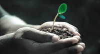 Soil from Organic Farms Boosts Disease Defense in Other Soils