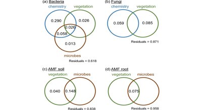 How Plant Groups Influence Bacteria and Fungi in Grasslands