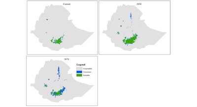 Future Habitats for Two Colorful Birds in a Changing Climate