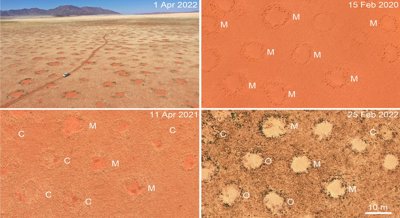 Rainfall and Soil Affect Formation and Changes of Mysterious Desert Circles