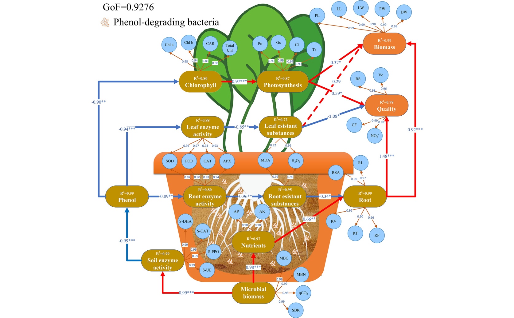Cleaning Polluted Soil and Boosting Plant Growth with Helpful Bacteria