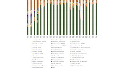 Bacterial Communities in Spices from Open-Air Markets: A Metagenomic Study