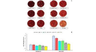 How Shade and Sprays Affect Pomegranate Quality, Antioxidants, and Minerals