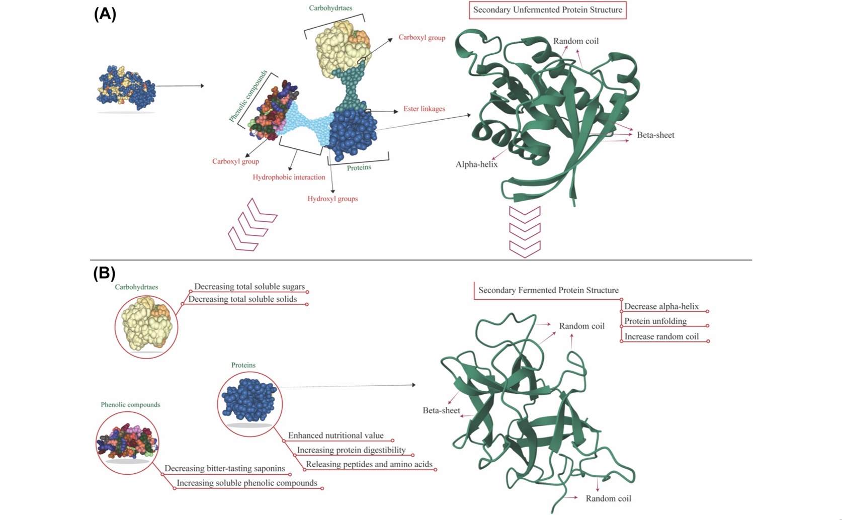 Boosting Lentil Protein Quality with Whey Using Complexation and Fermentation