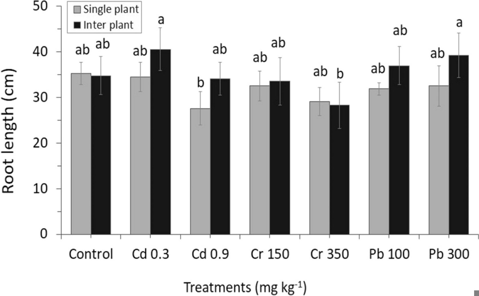 How Planting Methods Affect Garlic and Grass Growth in Heavy Metal Soil