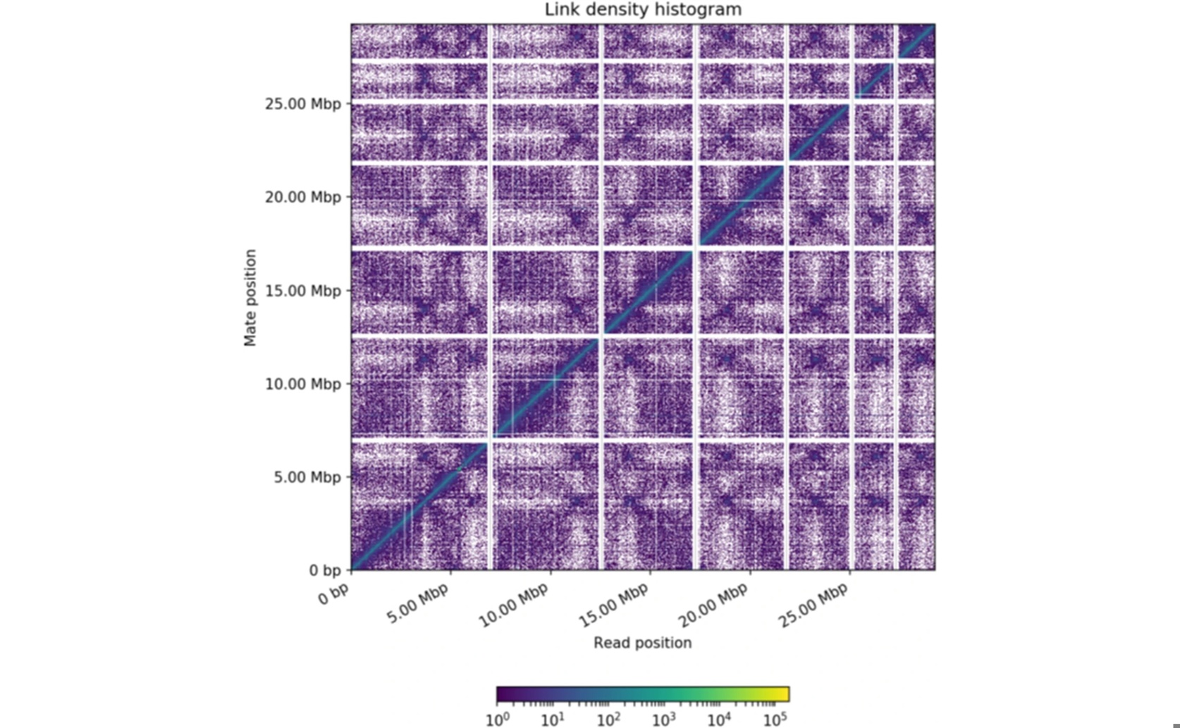 High-Quality Genome Mapping and Analysis of a Harmful Plant Fungus