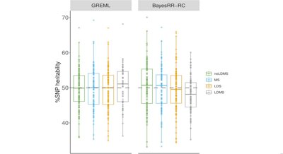 Understanding How Traits Are Inherited in Farm Animals