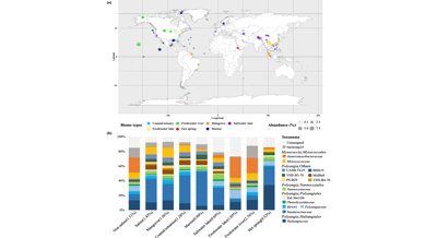 Distribution and Community Formation of Microbes in Mangrove Sediments
