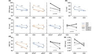How Rice Gene Mixes Affect Plant Growth and Yield