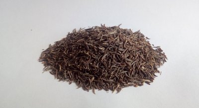 Enhanced Plant Resistance Against Wilt Disease in Cumin Using Microbial Blends