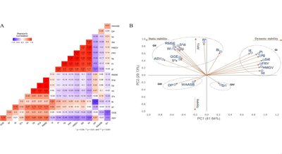 Cassava Yield Stability and Genetic Traits in Tropical Humid Regions